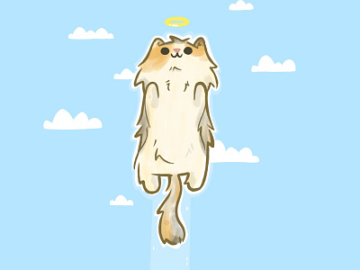 Symba you will be missed. angel best friend cartoon cat character design cute heaven memory rip