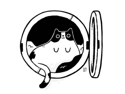Fat Laundry Cat animal blake stevenson cartoon cat character design cute hipster jetpacks and rollerskates kitten laundry ui