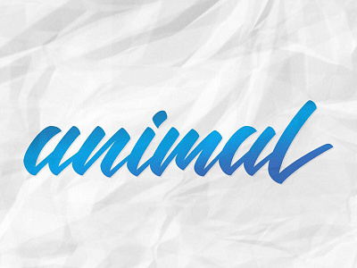 Animal caligraphy hand lettering lettering typography