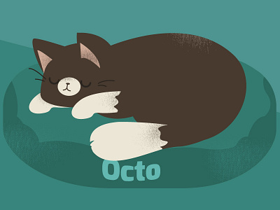 Octo cat illustration vector