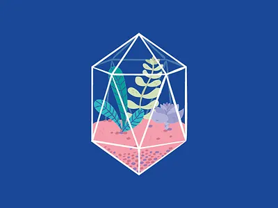 Space Succulents geometric illustration plant space succulent terrarium