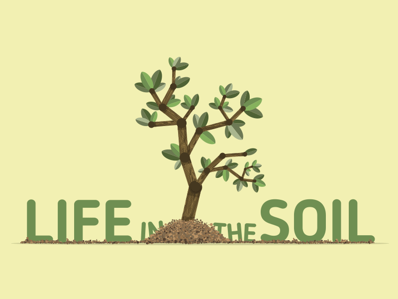 Life In The Soil 2d after effects animation flat gif kentucky leaf plant soil tree