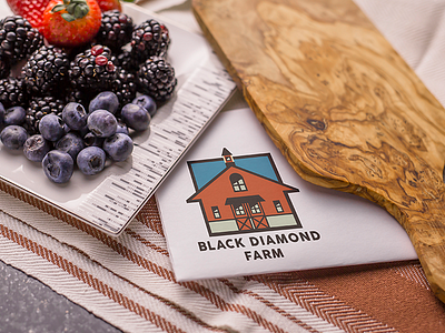 Black Diamond Farm Branding Mockup branding health identity kentucky ky logo natural organic sustainable