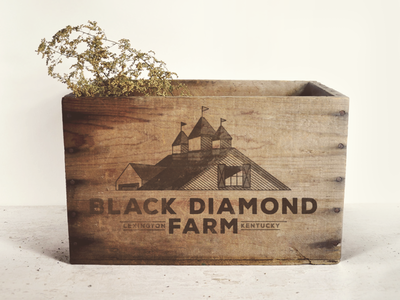 Black Diamond Farm Branding V2 Mockup branding health identity kentucky ky logo natural organic sustainable