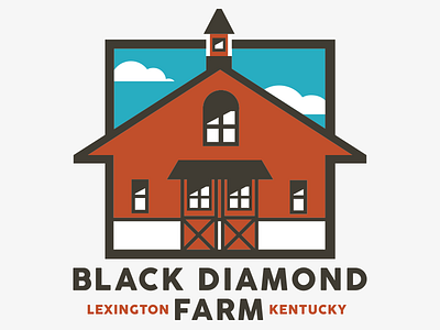 Final Black Diamond Farm Branding branding health identity kentucky ky logo logotype natural organic sustainable typography