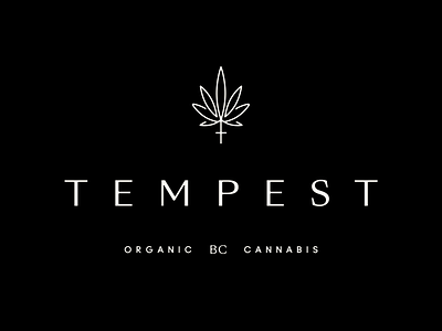 Tempest cannabis cannabis branding cannabis packaging hemp hemp logo icon mark organic packaging pot