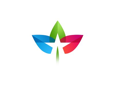 Texas + Growth brand colors logo mark star texas