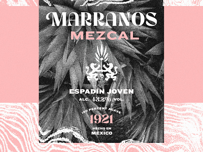 Marranos Mezcal branding label lettering mezcal tequila