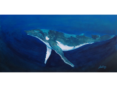 Whale Iubarta or Humpback acrylic paint blue humpback illustration whale