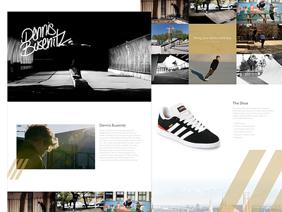 Dennis Busenitz Concept adidas busenitz dennis germany model pro real sf shoe skate skateboard