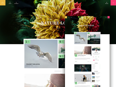 Blog : Nature Lover blog follow freelancer icon interface post redesign search social ui ux website