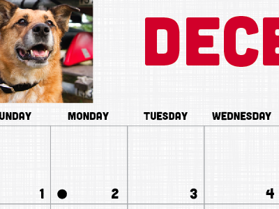 December Shelby 2013 calendar dog layout maker of rad secondhand hounds