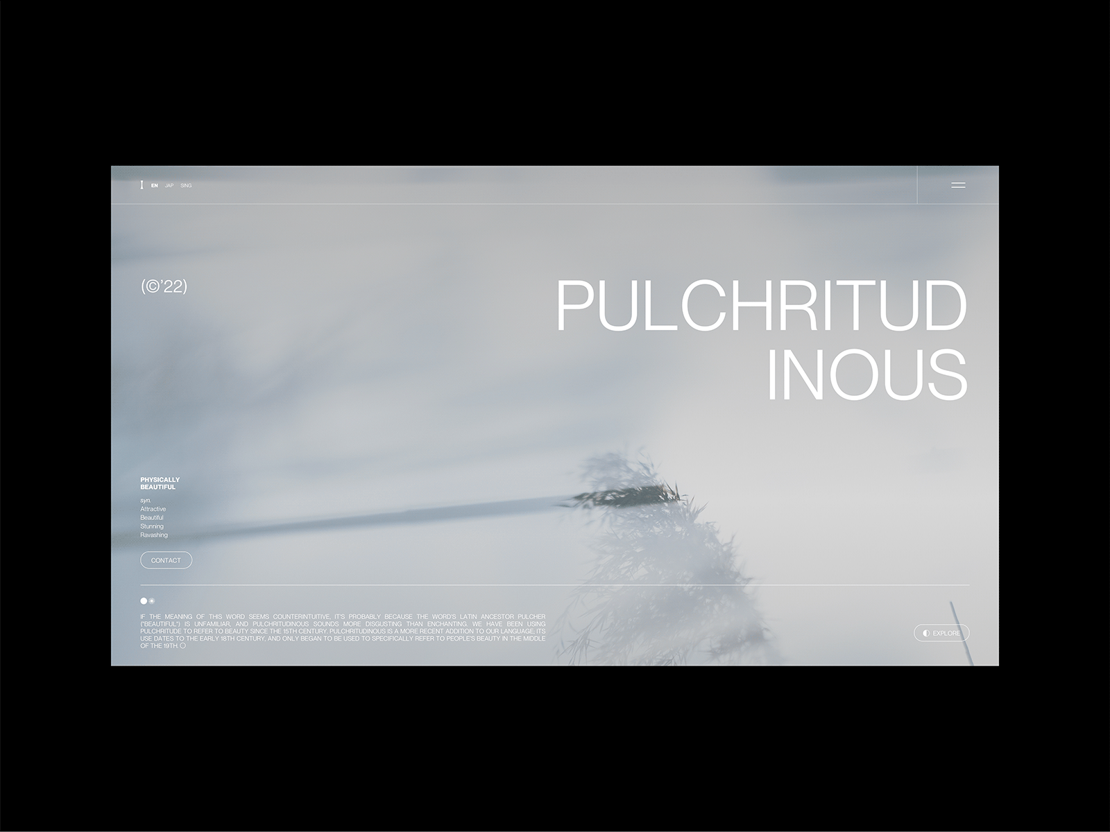 Pulchritudinous - Physical Beauty brutalism layout ui ux web design