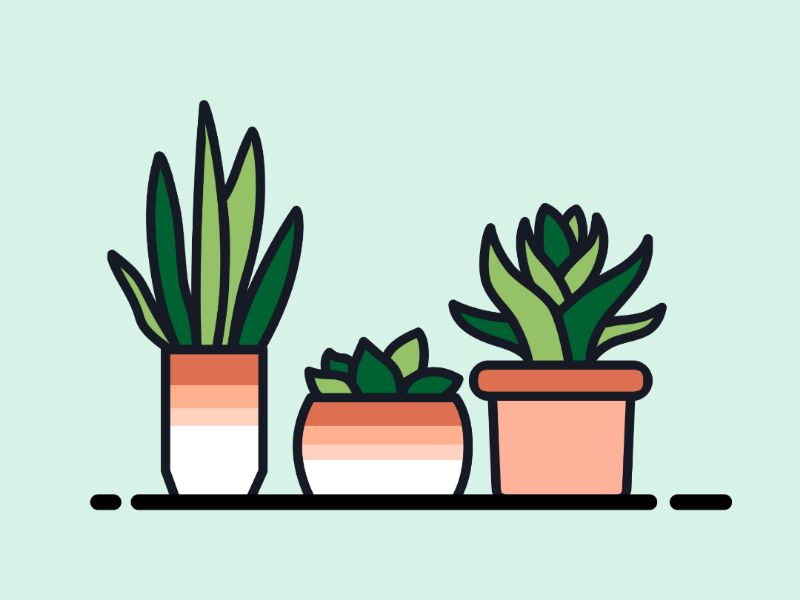 Plants Illustration web pots plants illustration plants adobe illustrator illustrator xd ux ui dribbble illustration