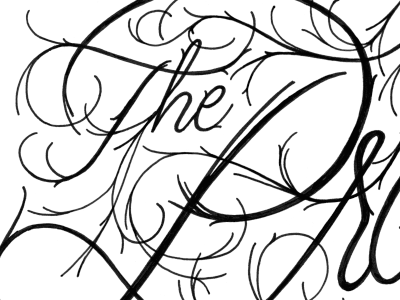 Roots black illustration lettering organic typography white