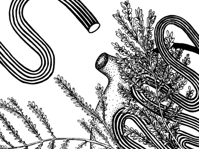 Pinstripesorgan dribbbble