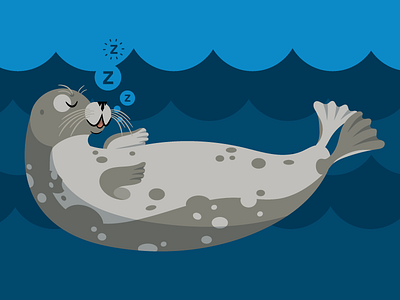 Seattle Aquarium Harbor Seal animal cartoon illustration museum ngo non profit seal seattle aquarium simple underwater vector zoo
