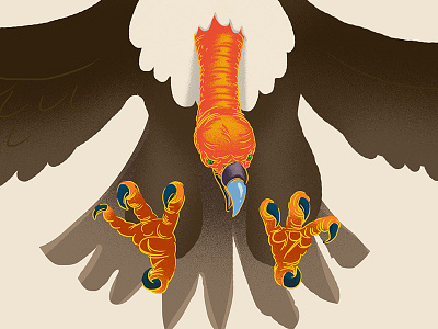 El Condor Pasa airbrush album art animal bird condor illustration kexp raptor seattle vulture