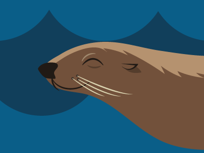 Seattle Aquarium Fur Seal 2016 animal cartoon flat illustration minimal minimalism museum ngo non profit vector zoo