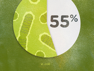 E. coli pie bacteria data infographic ngo non profit percent pie chart splash water