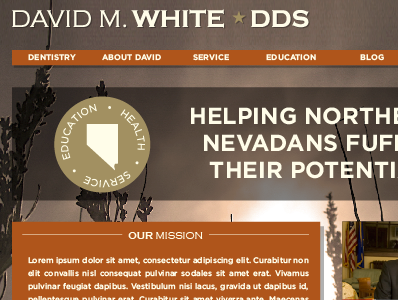 David M. White, DDS Website brand logo politics web design