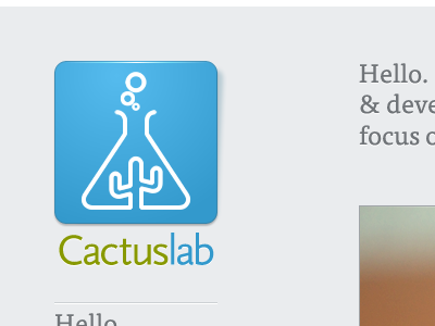 Cactuslab New blue grey grid logo tisa typography