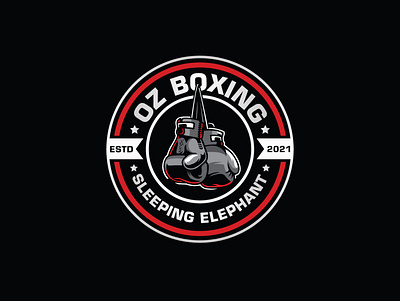 Boxing Logo barnding brand identity brand identity branding brand identity design branding design illustration logo logo design vector