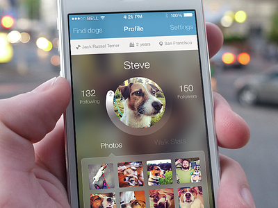 Woof Profile app app design blur dog interface ios ios 7 iphone profile ui ux
