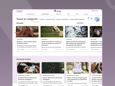 Blog - category animal article blog deuil pet purple ux design webdesign