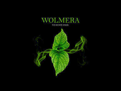 Wolmera