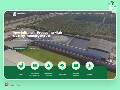 Hegazy Group Website - Home Page branding design ui ux