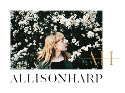 Allison Harp | Concept branding classic florals glitter gold foil identity photography serif warm