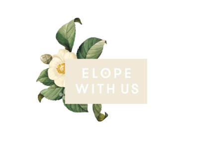 Elope With Us | Brand Concept branding floral identity modern scan vintage