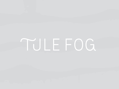 Tule Fog | Primary Logo Concept branding custom type identity modern simple thin typography