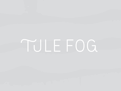 Tule Fog | Primary Logo Concept branding custom type identity modern simple thin typography