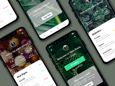 Take Roots app nature plant roots stats ui ux