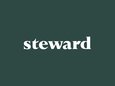 Lettermark for Steward branding color design identity inspiration logo simple typography