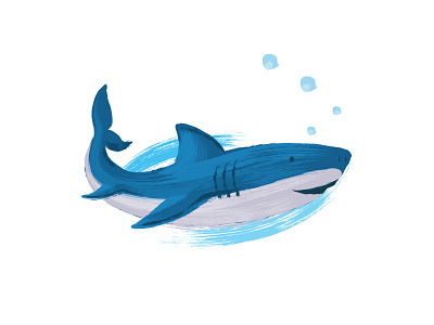 Shark Illustration