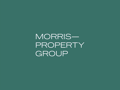 Drew Morris brand identity branding logo logo design logotype real estate realtor