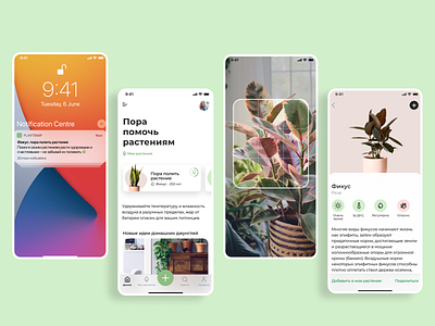 Plant app branding cryptocurrency design illustration minimal typography ux design vector web design webdesign