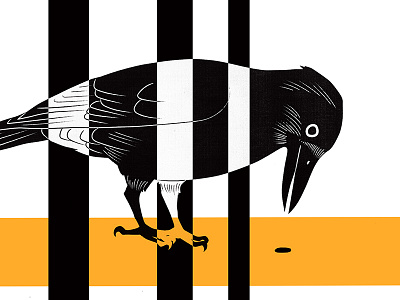 New Caledonian bird drawing illustration texture
