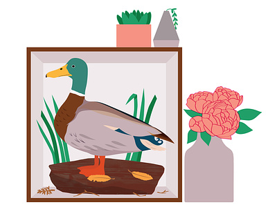 Drake and Peonies bird catcus drake duck flower illustration flowers illustration shelfie taxidermy