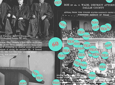 The Hypocritical Legislative-Confirmation Conundrum art artist collage design digital collage illustration