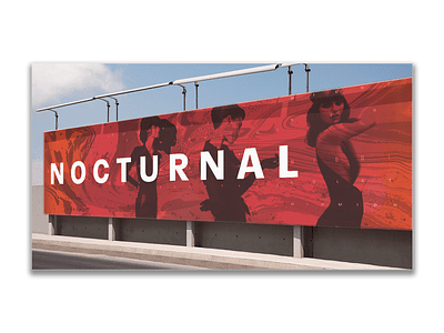 NOCTURNAL branding and identity collateral fashion fashion design fashion logos