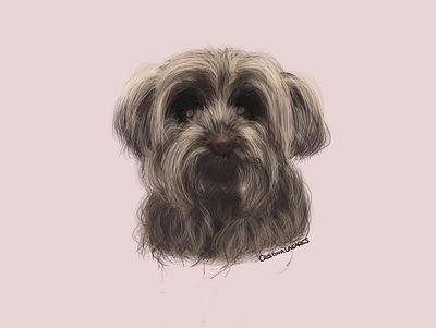 Dog illustration adobe digital art digital painting digitalart dog dogs illustration draw drawing illustration illustrator procreate