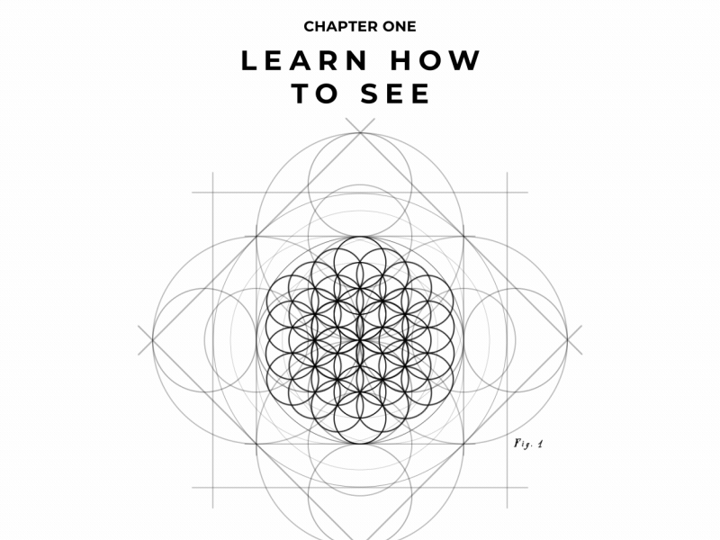 Flower of Life by Bartlomiej Otlowski on Dribbble