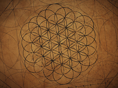 Flower of Life - Textured aftereffects animation blueprint circle circles circular da vinci flower of life geometric geometry illustration old paper overlapping pattern renaissance victorian vintage