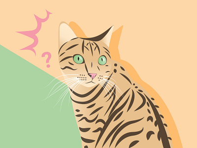 Clueless cat catdrawing catillustration digitalart drawing graphics illustraion illustrator vector webdesign
