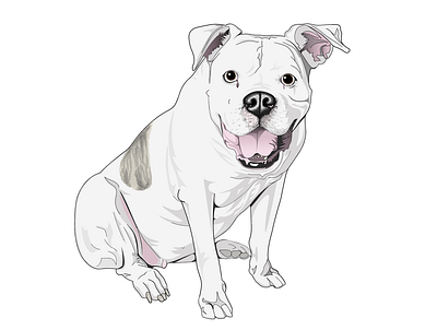 Realistic Illustration - Brinksly the Bulldog bulldog dog dogs illustrator realistic realistic illustration