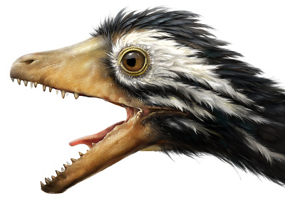 Archeopteryx animalist bird detail eye fear nature paleo profile rage scream teeth
